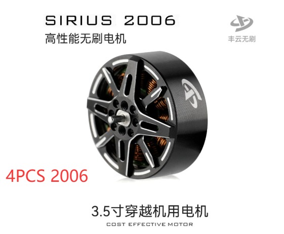 4PCS SIRIUS 2006 V2.0 V2006 19 - Walksnail Avatar Hd Goggles X 리뷰 및 가격